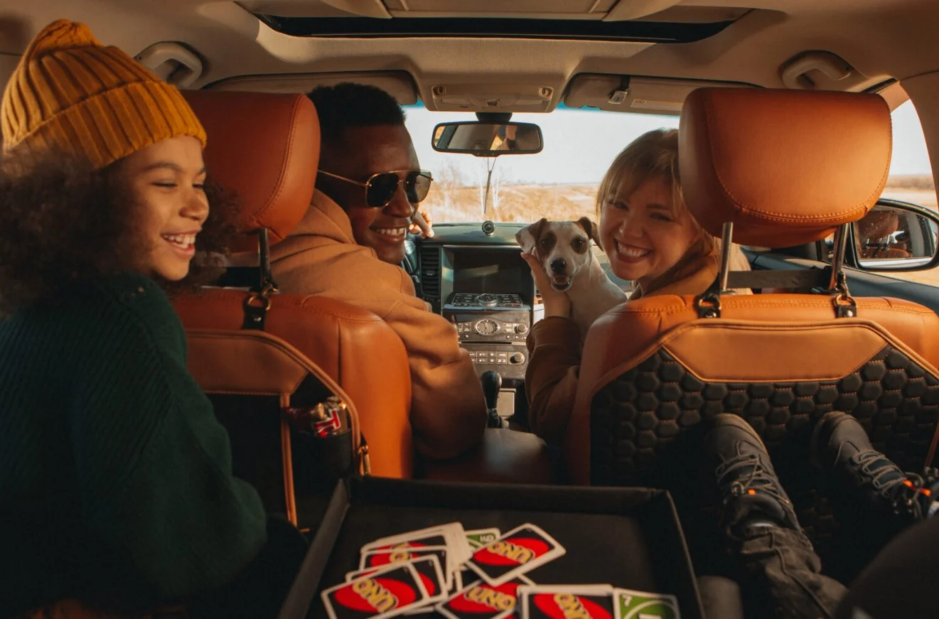 Lexus RX organizer for road trip