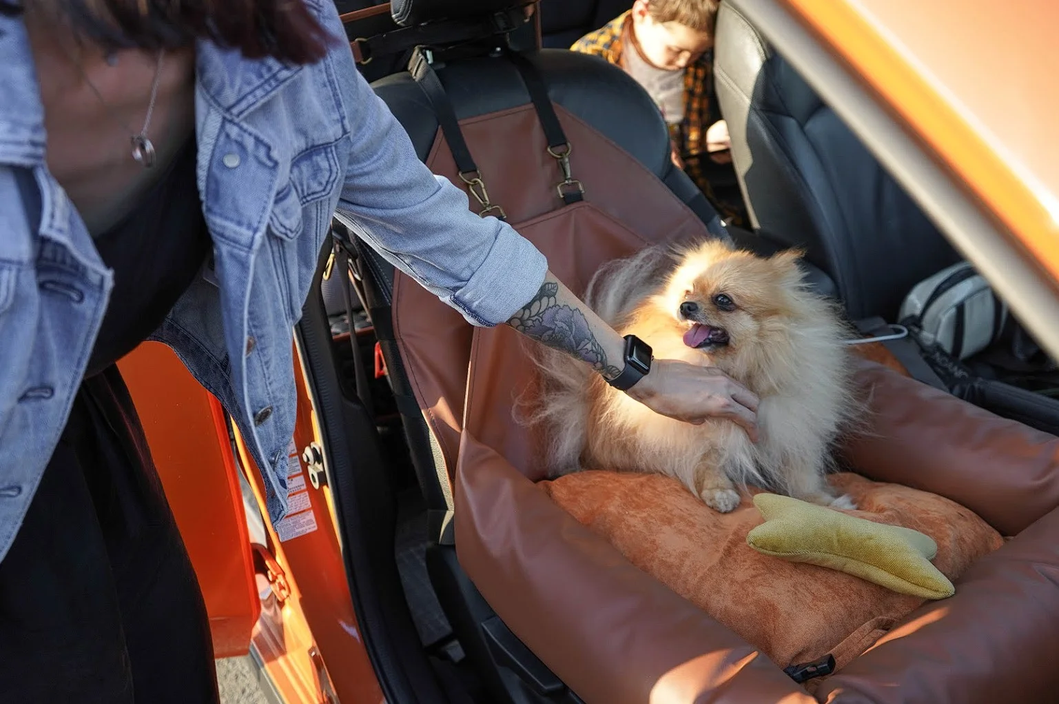 Pekingese Dog Car Seat for Mazda3